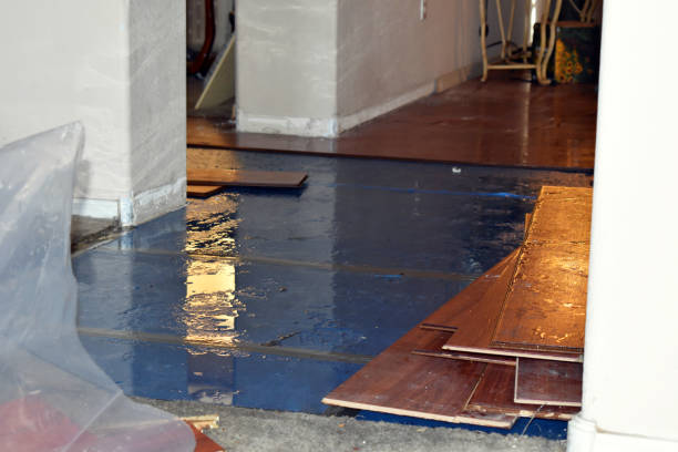 Professional Water Damage Restoration technician working in Franklin, MA